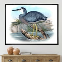 Drevne australske ptice II uokvirene slikarske platnene umjetnički tisak