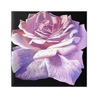 Stupell Industries Bujne ružičaste latice ruže Cvjetne kapljice Slikanje galerija zamotana platna za tisak zidne umjetnosti, dizajn