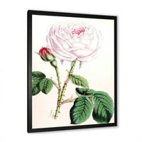 DesignArt 'drevni ružičasti cvijet' tradicionalni uokvireni umjetnički tisak
