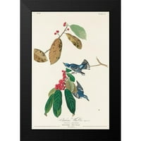 Audubon, John James Black uokvirena suvremena muzejska umjetnička gravura pod nazivom Azurna trska