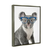 Stupell Industries Wild koala Nose naočale životinje životinje i insekti slikaju sivi plutasti uokvireni umjetnički print zidni umjetnost