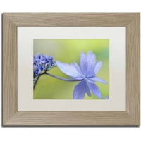 Zaštitni znak likovna umjetnost 'plava hortenzija' platno umjetnost cora niele, bijela mat, breza