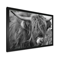 Dizajnerska umjetnost Izbliza Škotske krave na močvari M. A., uokvirena umjetnička gravura za seosku kuću