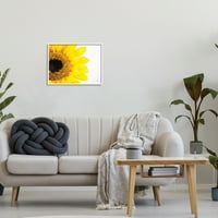 Detalj diska i latica suncokreta, fotografija, 16, dizajn Donnieja Kvillena