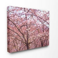 Pink Sky Chirry Blossom Forest Fotografija uokvirena teksturizirana umjetnost