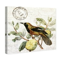 Wynwood Studio životinje zidne umjetničko platno ispisuje ptice ptice 'u drvetu' - žuta, zelena