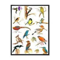 Ptice vitalne boje Plancard uokvireno slikarstvom platno umjetnički tisak