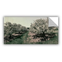 Artwall Kevin Calkins Apple Orchard and Picket Fence Artappealz Umještena zidna umjetnost